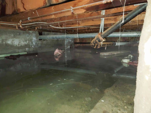 Best Sewage cleanup and water damage restoration  in Tlassee, AL