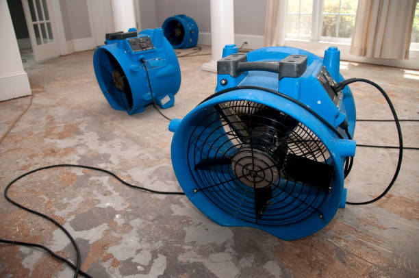 Best Flood restoration services  in Tlassee, AL