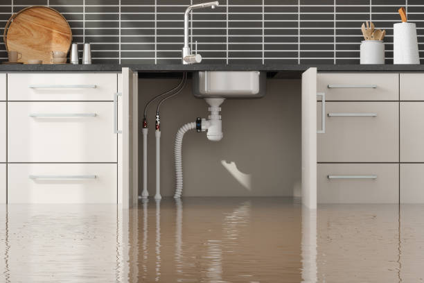 Best Flooded house restoration  in Tlassee, AL
