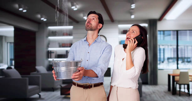 Best Fire Damage Restoration  in Tlassee, AL