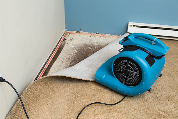 Best Emergency water damage restoration  in Tlassee, AL